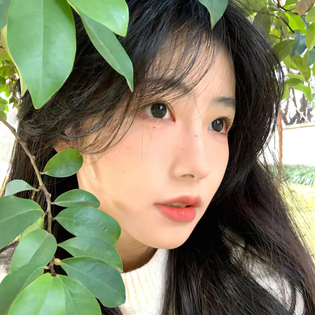 幽冥花开 在线观看